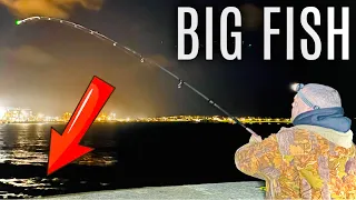 BIG FISH caught at Holyhead Breakwater! U.K. SEA FISHING