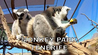 Monkey Park Tenerife (Spain)