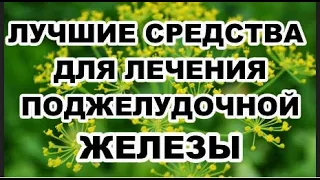 Лучшие средства для лечения поджелудочной железы