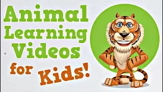 Animal Learning Videos for Kids | Tigers, Horses and More!