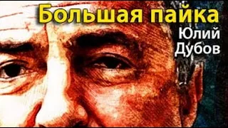 Юлий Дубов. Большая пайка 5