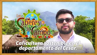 Los Saberes del Campo: Caficultura Sostenible En El Departamento Del Cesar