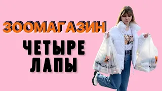 ЗАКУПКА В ЗООМАГАЗИНЕ 🛒 🐾ЧТО МЫ ПОКУПАЕМ СВОИМ ЖИВОТНЫМ? 🐶🐱