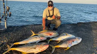 JACK CREVALLE ARE HERE!!! Surfside jetty￼￼ TX