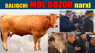 Baliqchi MOL BOZORI narxlari | FAQAT SOTILGANLARI | ANDIJON