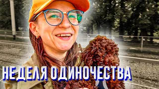 РАССТАВАНИЕ НА НЕДЕЛЮ. ВДВОЁМ С ЧУПИ. СЮРПРИЗ ДЛЯ АЛЕХАНДРО