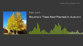 Mountain Trees Best Planted in Autumn