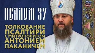 Толкование Псалтири. Псалом 37.