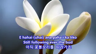 Aloha Oe (Farewell to Thee) - Elvis Presley : with Lyrics(Hawaiian/English/가사번역) || 그대여 안녕히