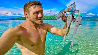 Tropical fish and Squids catch and cook Full Day vlog Find a Wild Cat!