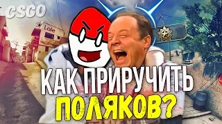 CS:GO - КАК ПРИРУЧИТЬ ПОЛЯКОВ?