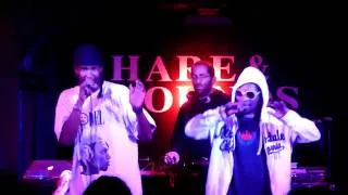 Del The Funky Homosapien - Mister Dobalina (Live)