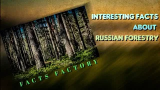 INFORMATIVE FACTS ABOUT RUSSIAN FOREST / FACTS FACTORY #education #facts #forest