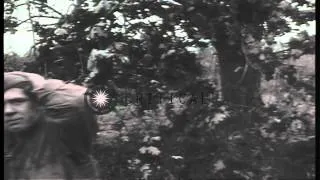 US 4th Division, 8th Infantry, 3rd Battalion soldiers take cover behind hedgerows...HD Stock Footage