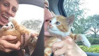 Policewoman Rescues Stray Kittens From a Dumpster And Her Heart Melts