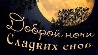 Сладких снов! Доброй ночи! / Надобраніч! Солодких снів! / Good night! / تصبح على خير! / 안녕히 주무세요!