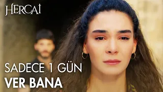 Reyyan Miran'a şans verecek mi? - Hercai Efsane Sahneler