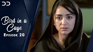 Bird in Cage | Episode 20 | English Dubbed | Pakistani Dramas | CZ1O