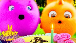 SUNNY BUNNIES - Birthday Candle | Season 6 | Cartoons for Children