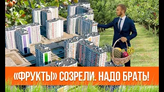 ЖК Фрукты: сочные квартиры в Адлере. Почему Фрукты - ОТЛИЧНЫЙ СЕМЕЙНЫЙ ЖК в Сириус Сочи? Обзор