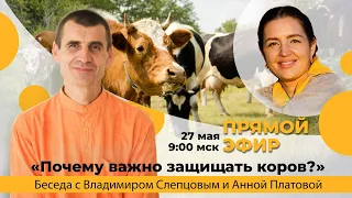 «Почему важно, чтобы корова жила в семье и как реализовать это в наши дни?», 27.05.2023 г.