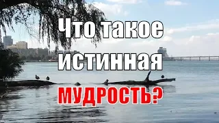 Что такое истинная мудрость?