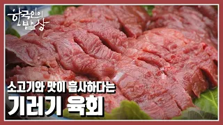 [한국인의 밥상] ‘하늘을 나는 소고기’라 할 정도로 영양이 풍부한 기러기 밥상 “야생진미 - 밥상에 날아오르다” (KBS 20221201 방송)