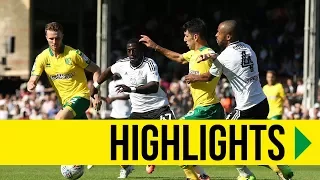 HIGHLIGHTS: Fulham 1-1 Norwich City