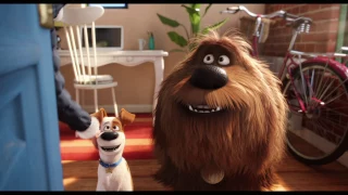 The Secret Life Of Pets in Sweden