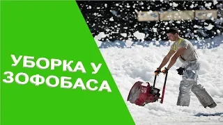 Уборка у зофобаса