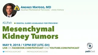 Mesenchymal kidney tumors - Dr. Matoso (Hopkins) #GUPATH