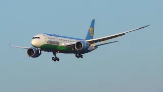 Uzbekistan Airways Boeing 787-8 UK78704 - Katowice Airport (KTW/EPKT) - 02.03.2022