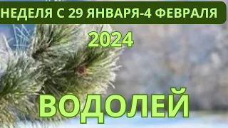 ВОДОЛЕЙ ♒️ ТАРОСКОП С 29 ЯНВАРЯ-4 ФЕВРАЛЯ-2024 от Alisa Belial.