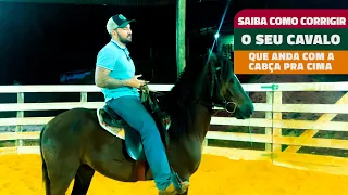 SAIBA COMO CORRIGIR O SEU CAVALO QUE ANDA COM A CABEÇA PRA CIMA!