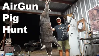 Big "Boar" Airgun Hunting {Catch Clean Cook} We Have A New Baby Pig