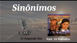 Sinônimos - karaokê playback c/ segunda voz original c/ letra - Chitãozinho e Xororó & Zé Ramalho