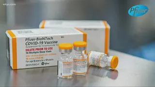 FDA panel endorses Pfizer's COVID-19 vaccine for kids 5-11