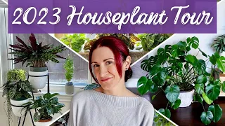 New Year, New FULL Plant Tour! | Let's Check In On Every Houseplant In My Collection!