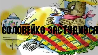 Ліна Костенко вірш "соловейко застудився"