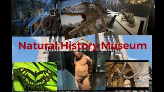 Музей Естествознания Лондон (Natural History Museum) 2021