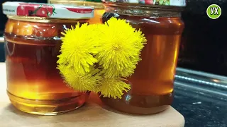 Medicinal honey from dandelions with your own hands.