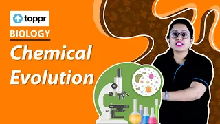 Chemical Evolution | Evolution | Class 12 Biology