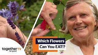 Grow Edible Flowers In Your Garden For A Tasty Salad | Garden Rescue