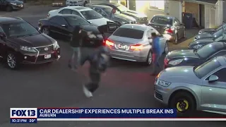 Auburn car dealership plagued by repeat break-ins | FOX 13 Seattle