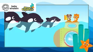 Family Time with Orca Whales | NEW Ocean Explorers | Baby Einstein | Toddler Song | Kids Cartoons