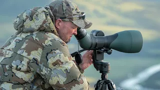 Swarovski Optik 115 mm Module Spotting Scope - Hunting