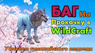 Баг на прокачку в WildCraft | как победить гималайского медведя?