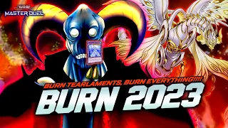 BURN DECK UPDATE - Perfect Counter to Tearlaments By BURN THEM! [Master Duel]