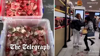 Pro-Palestine activist releases box of rodents into a McDonald's in Birmingham