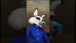 Фурри с Лайка | Furry with Likee